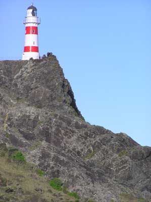 Cape Palliser