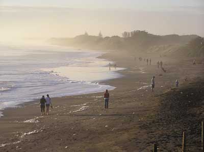 Muriwai Beach